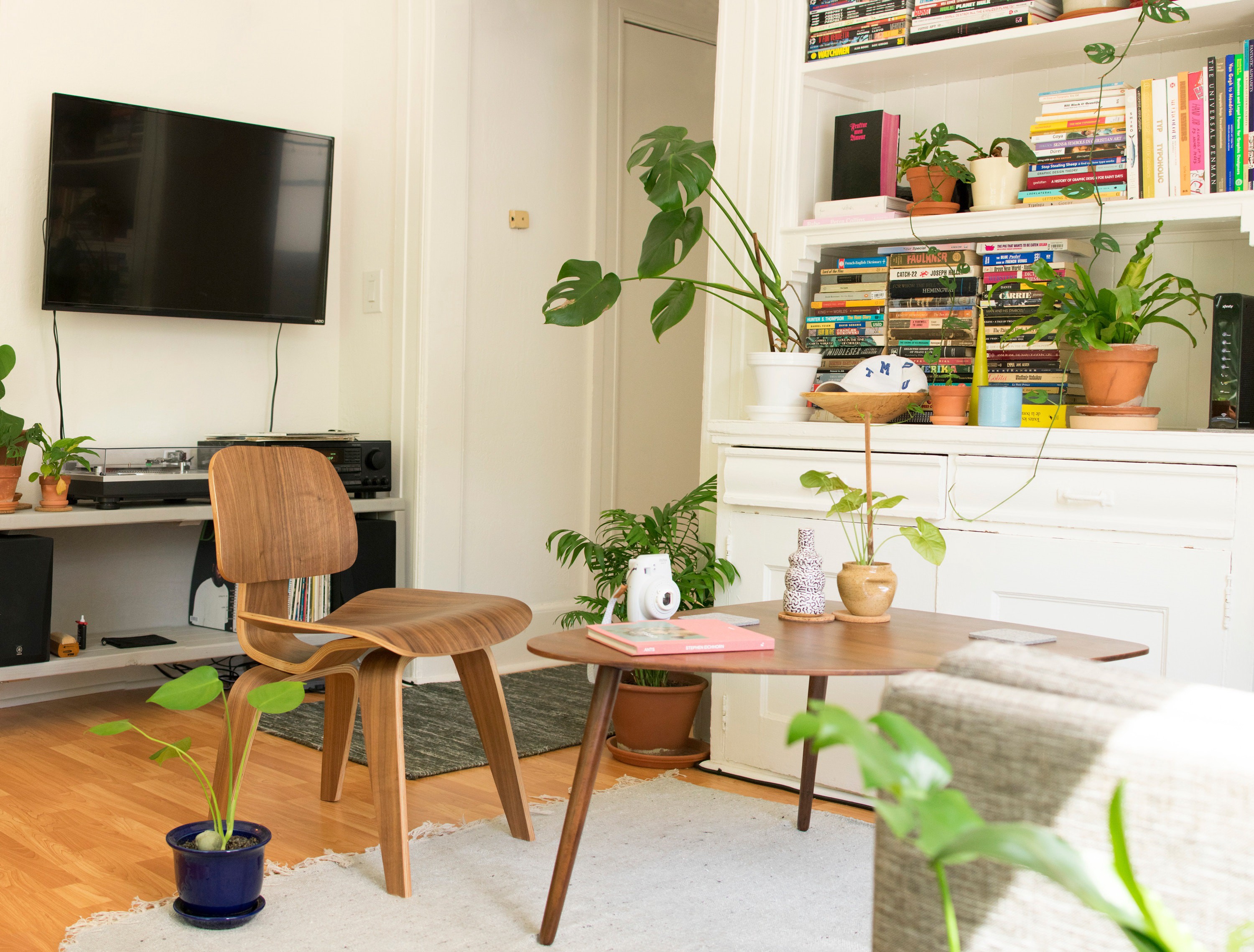 appartement, lumineux, plante